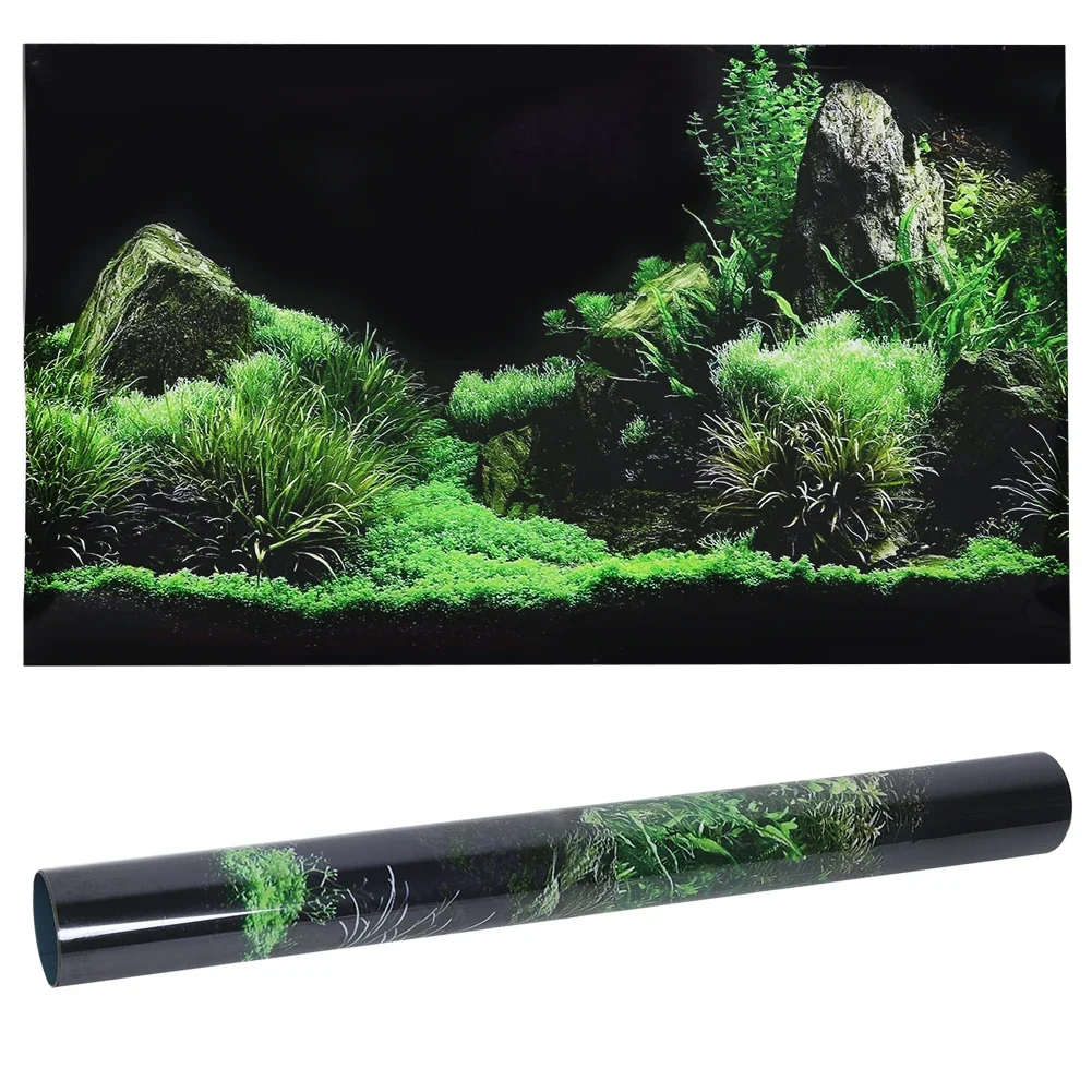 Background for Aquarium 3d Sti - đánh giá và giá Marine Aquarium For Sale