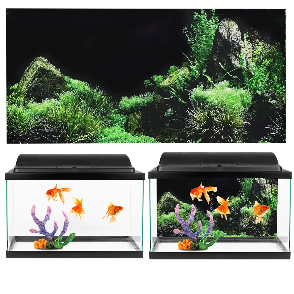Background for Aquarium 3d Sti - đánh giá và giá Marine Aquarium For Sale