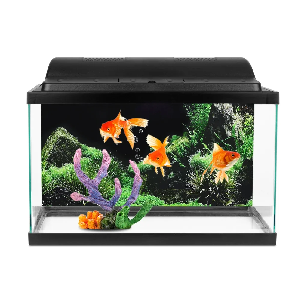 Background for Aquarium 3d Sti - đánh giá và giá Marine Aquarium For Sale