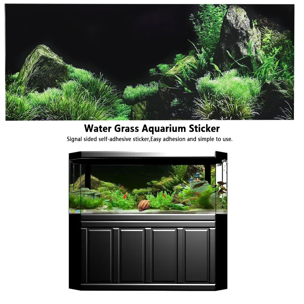 Background for Aquarium 3d Sti - đánh giá và giá Marine Aquarium For Sale