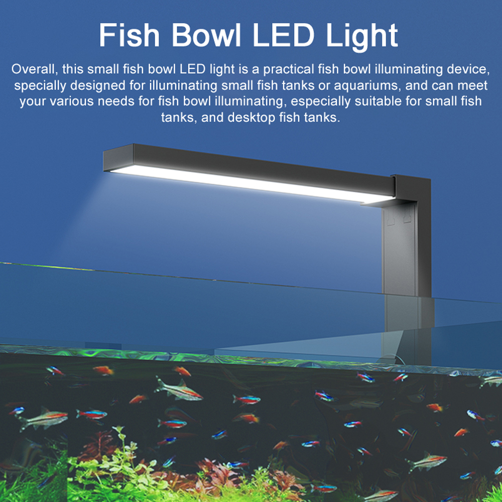 ABS Small Fish Bowl LED Light  - đánh giá và giá Marine Aquarium Lamp
