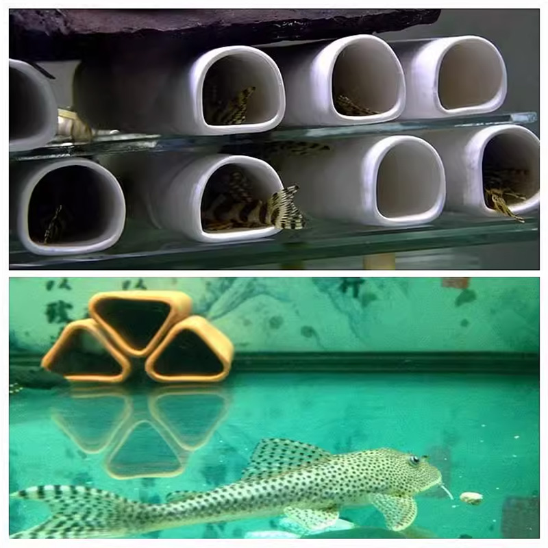 For Fish Shrimp Fish Tank Deco - đánh giá và giá Marine Aquarium For Sale