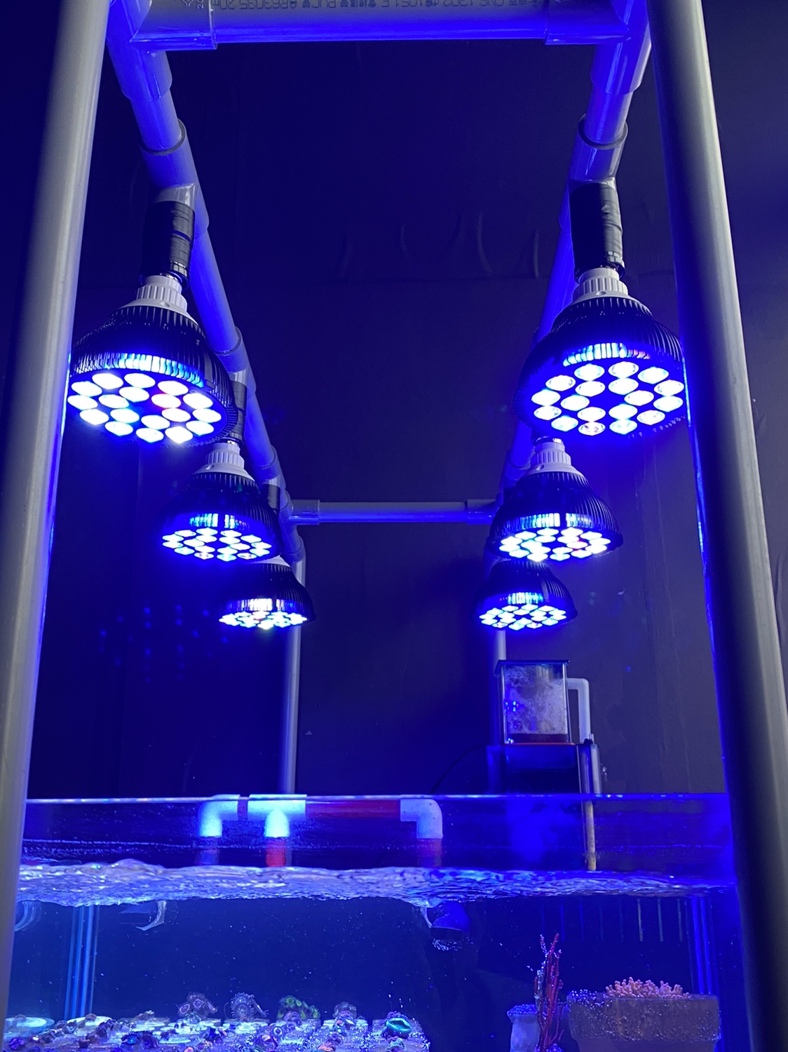 Full specturm LED Aquarium Ree - đánh giá và giá Marine Aquarium Lamp