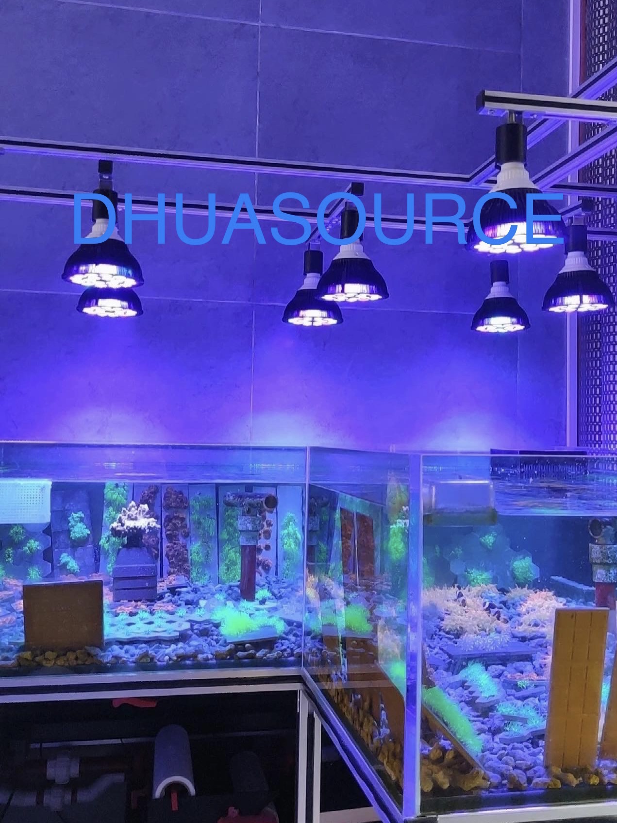 Full specturm LED Aquarium Ree - đánh giá và giá Marine Aquarium Lamp