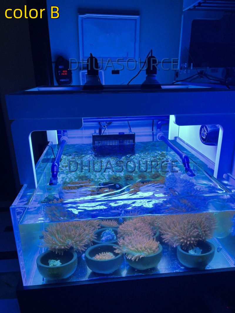 Full specturm LED Aquarium Ree - đánh giá và giá Marine Aquarium Lamp