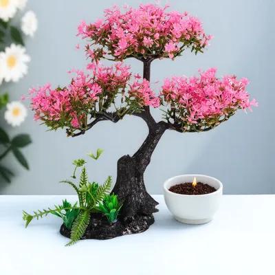 Artificial Plants Indoor Aquar - đánh giá và giá Marine Aquarium For Sale