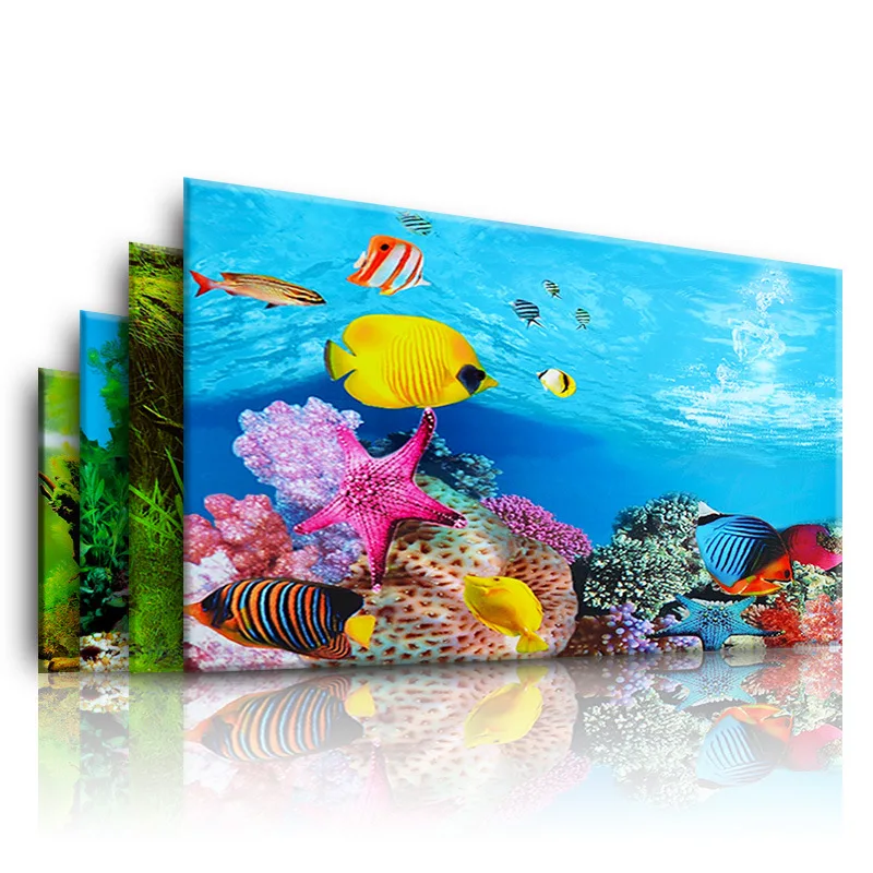 Background for Aquarium 3d  St - đánh giá và giá Marine Aquarium For Sale