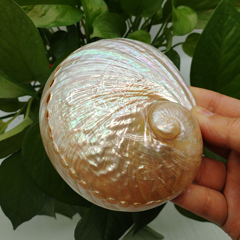 Home Decoration Red Pattern Ab - đánh giá và giá Marine Aquarium For Sale