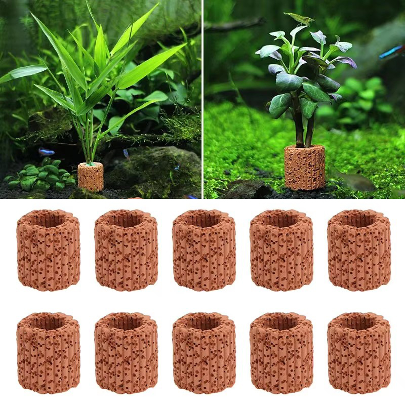 Aquatic Plant Fixed Ring for A - đánh giá và giá Marine Aquarium For Sale