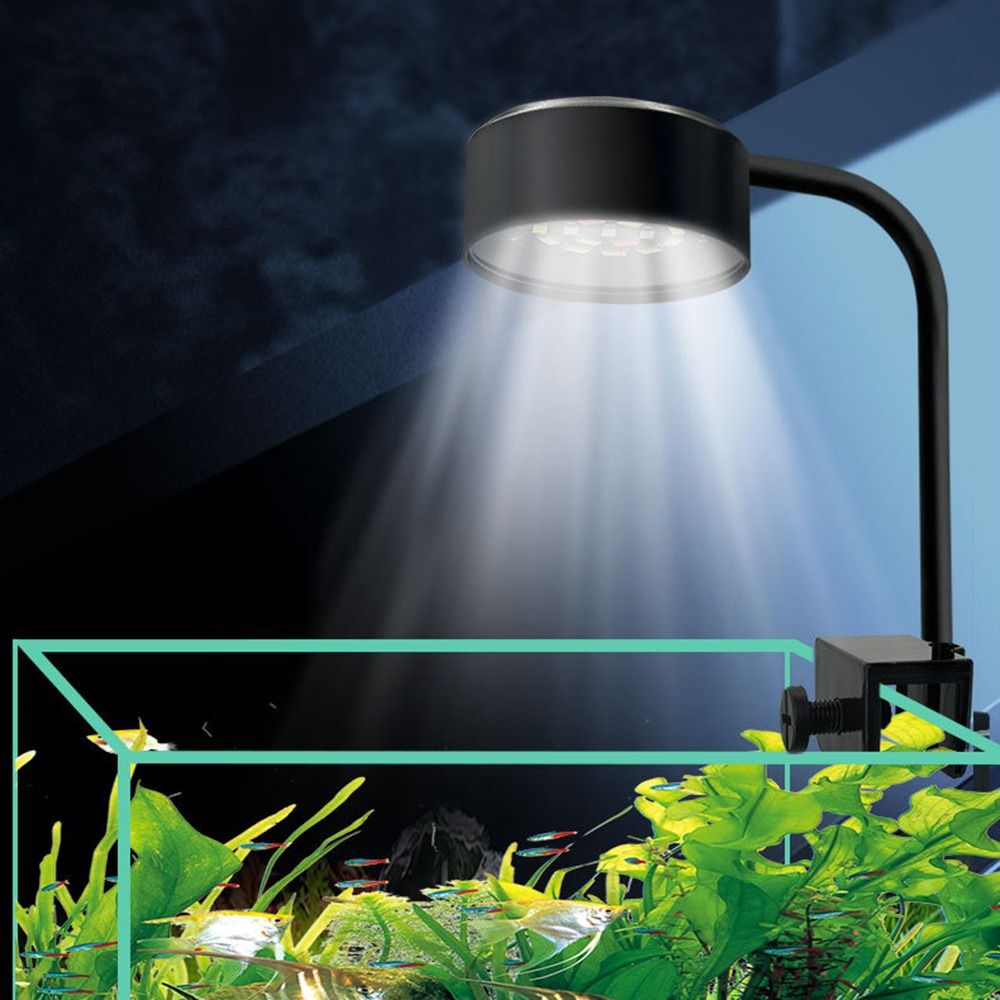 3 Color Modes Mini Clip-on Aqu - đánh giá và giá Marine Aquarium Lamp