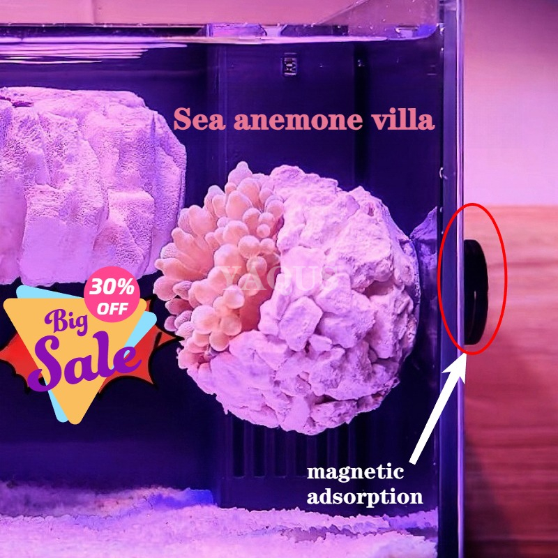 New DIY Handmade Floating Magn - đánh giá và giá Marine Aquarium For Sale