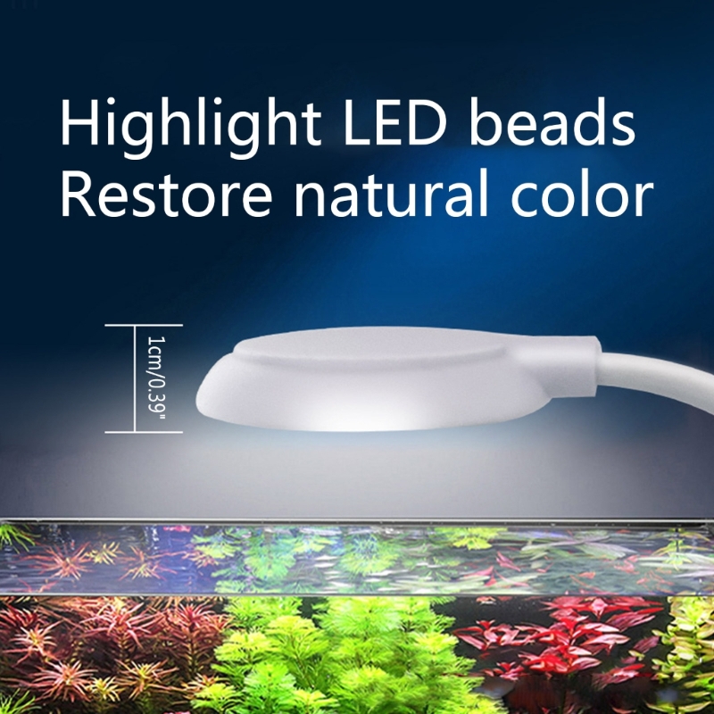 Aquarium Clamp Light LED Clip  - đánh giá và giá Marine Aquarium Lamp