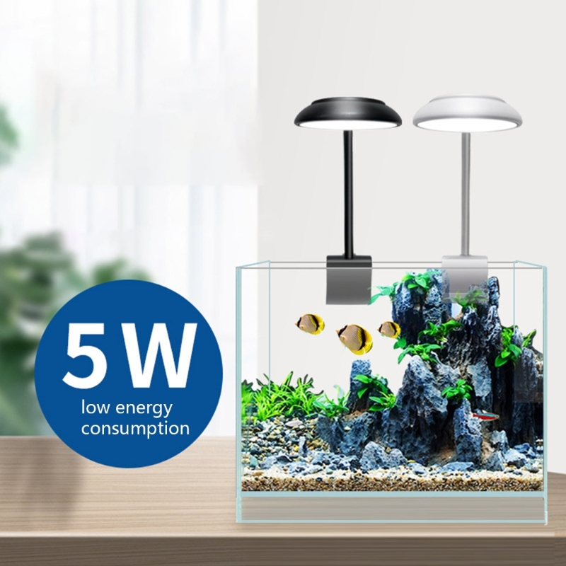 Aquarium Clamp Light LED Clip  - đánh giá và giá Marine Aquarium Lamp