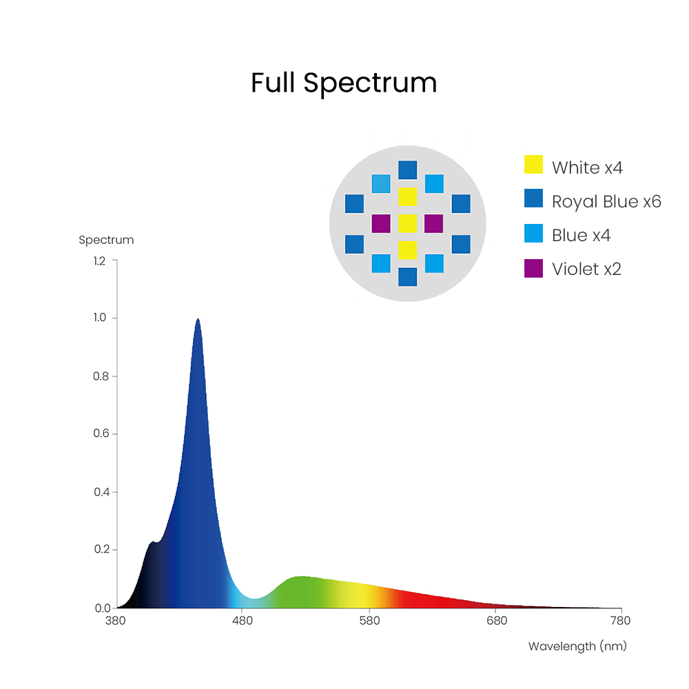 Spectra Aqua Knight V3 75W Pro - đánh giá và giá Marine Aquarium Aquascape