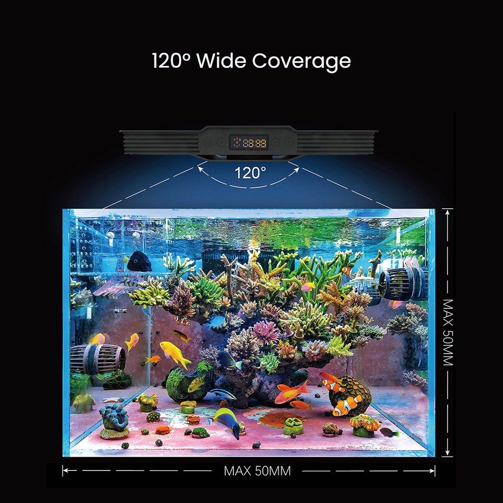 Spectra Aqua Knight V3 75W Pro - đánh giá và giá Marine Aquarium Aquascape