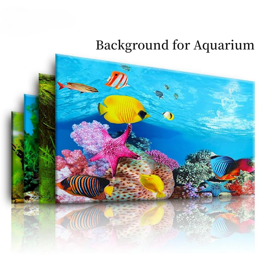 Background Aquarium 3D Sticker - đánh giá và giá Marine Aquarium For Sale