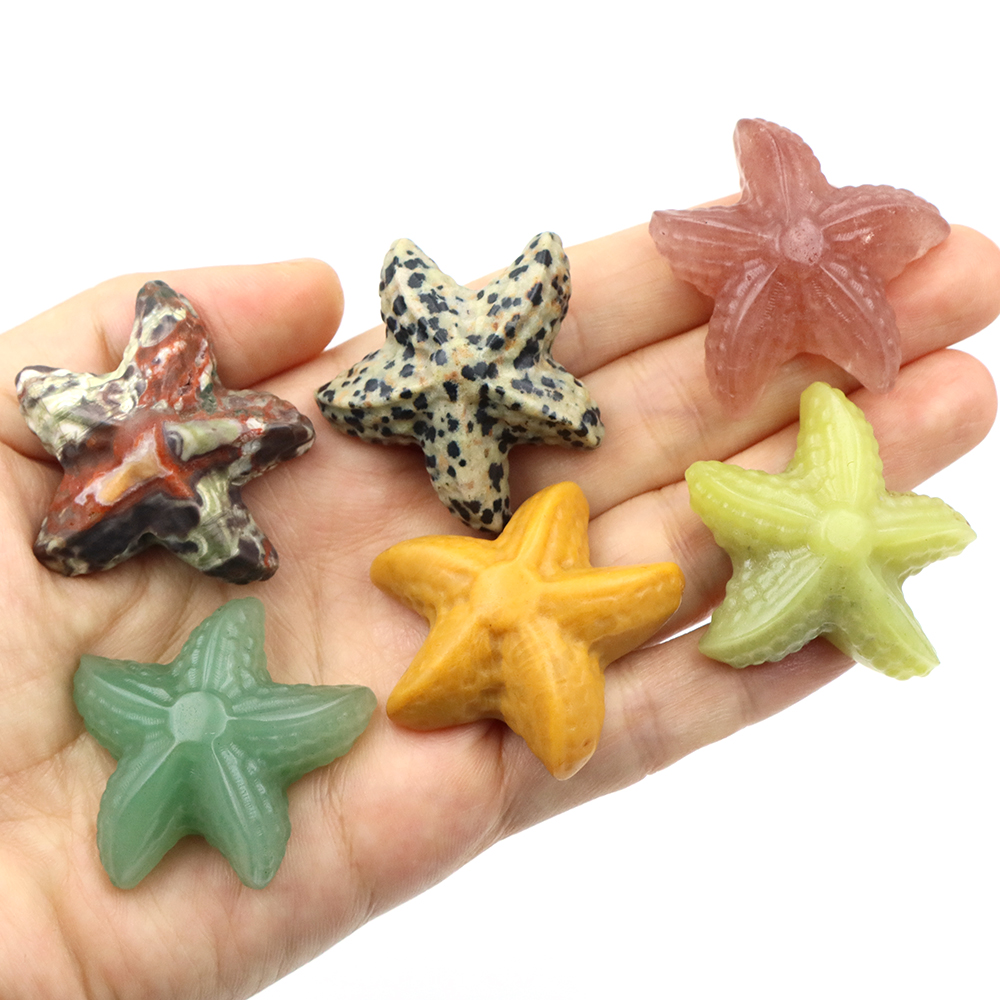 35mm Starfish Shape Statue Mar - đánh giá và giá Marine Aquarium Aquascape