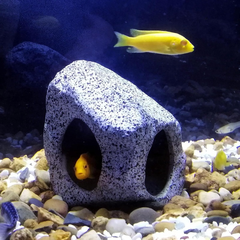 Fish Tank Cave Stone Landscapi - đánh giá và giá Marine Aquarium For Sale