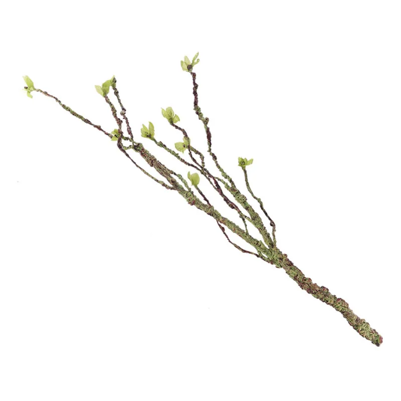 Vines Decor Climbing Branches  - đánh giá và giá Marine Aquarium For Sale