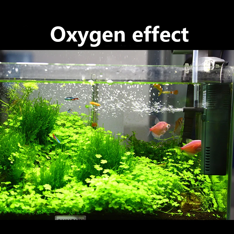 SUNSUN mini nano 111B 311B 611 - đánh giá và giá Aquarium Blue Marine Reef 60