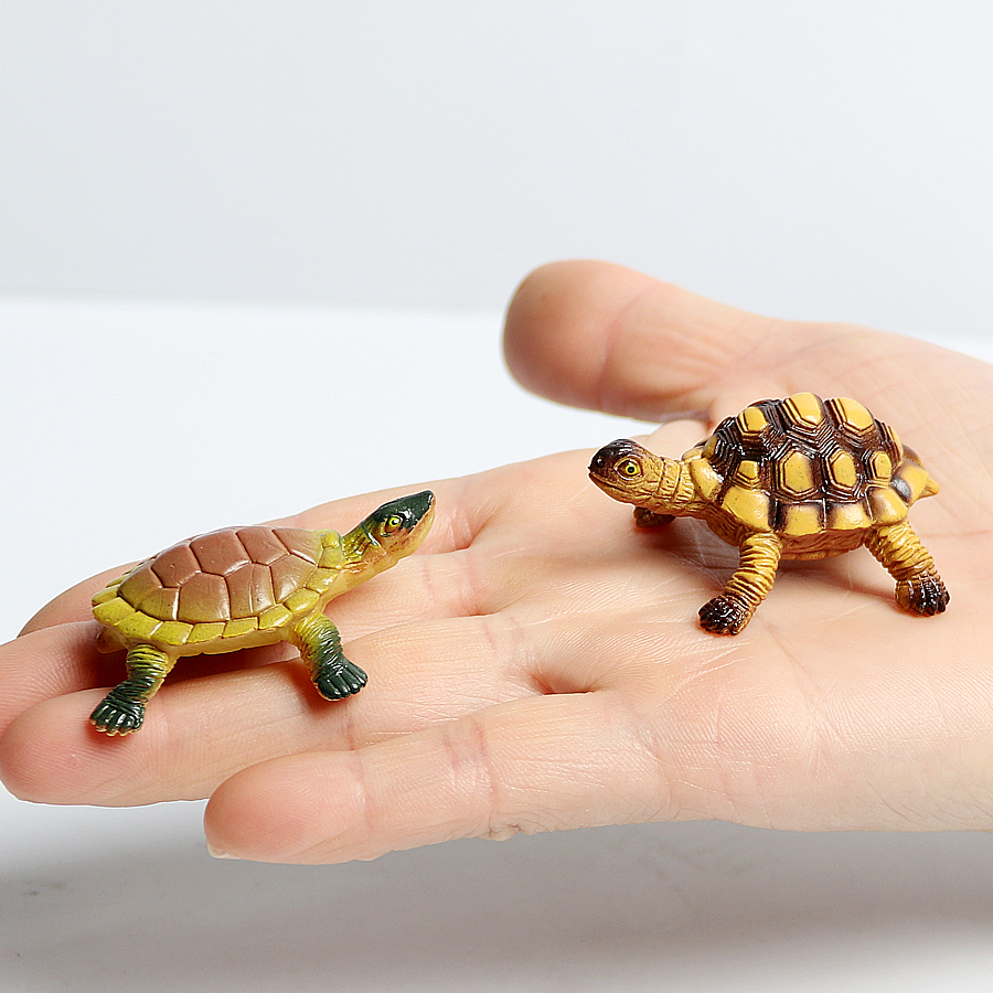 Realistic Miniatures Marine Li - đánh giá và giá Marine Aquarium Aquascape